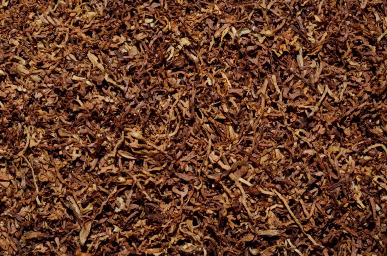 Tobacco texture background